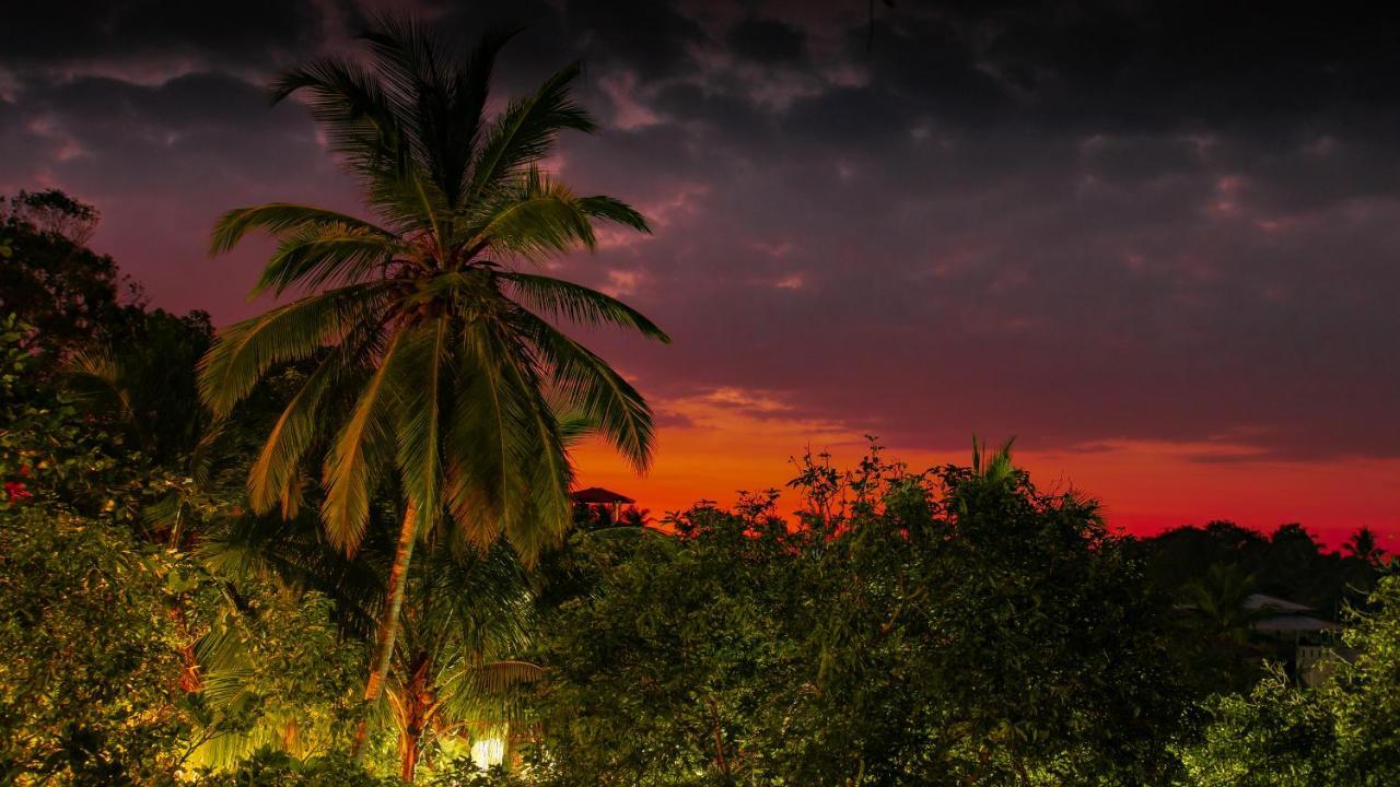 Simon'S Lodge Хіккадува Екстер'єр фото